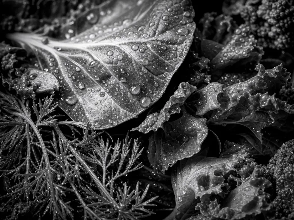 Macro texture of fresh leafy produce with water droplets
